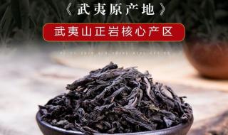 牛栏坑肉桂特征